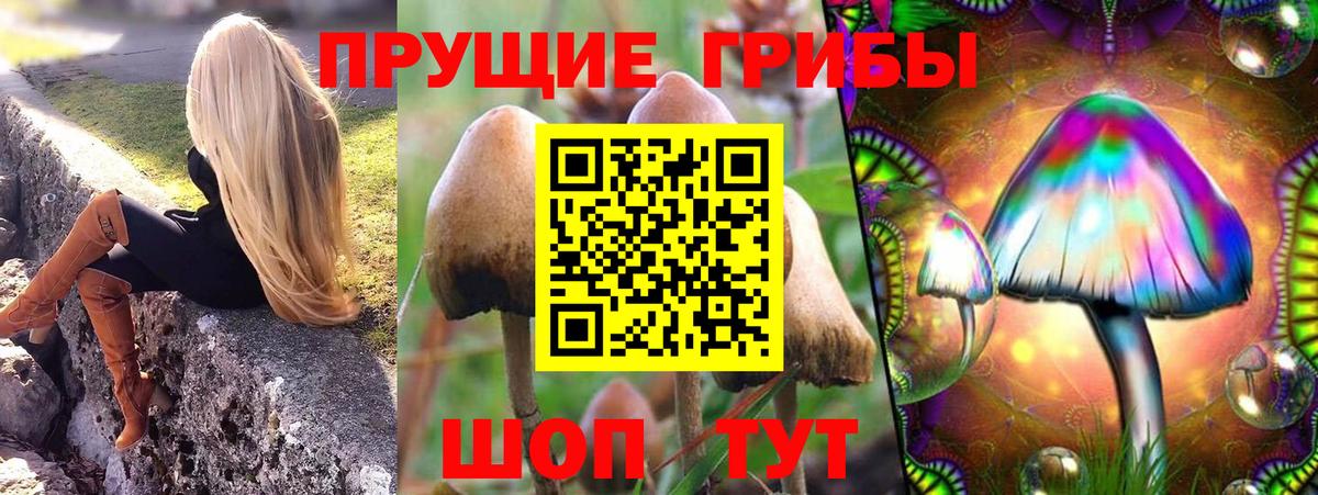 Псилоцибиновые грибы MAGIC MUSHROOMS  Вход с VPN  Чусовой 