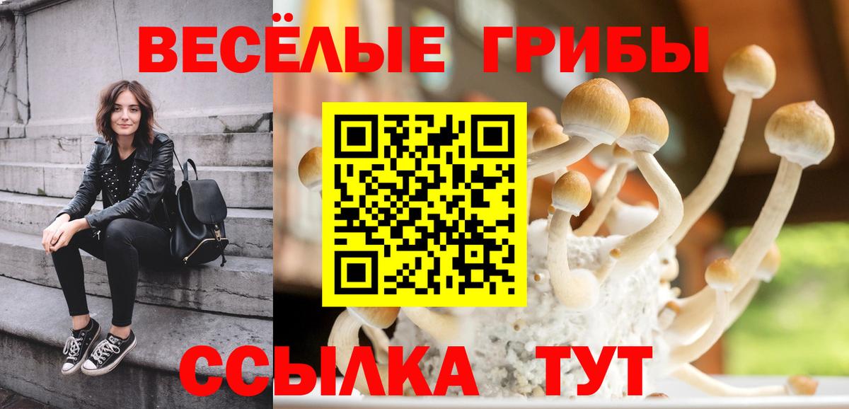 Галлюциногенные грибы MAGIC MUSHROOMS Чусовой